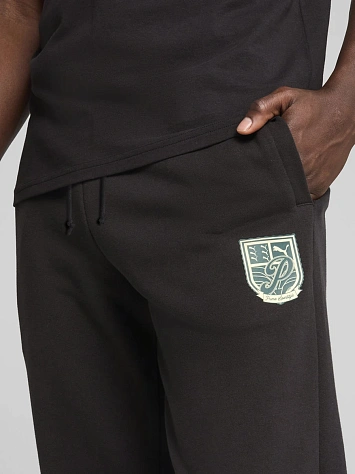 Puma Брюки мужские WARDROBE ESS SPORTS LEGACY GRAPHIC SP TR CL