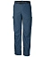 Columbia Брюки мужские SILVER RIDGE™ CARGO PANT [синий]