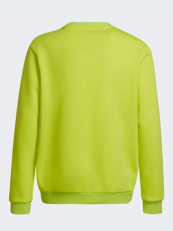 Adidas Джемпер мужской ENTRADA 22 SWEATSHIRT