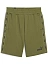 Puma Шорты мужские ESS+ TAPE SHORTS 9 TR [зелёный]