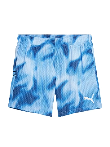 Puma Шорты плавательные мужские SWIM MEN PRINTED RASTERIZED MID SHORTS 1P