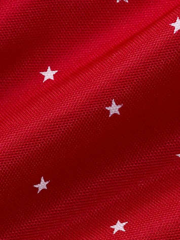 Converse Рюкзак GO 2 BACKPACK - STARS