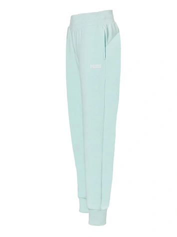 Puma Брюки женские ESS SWEAT CLOSED TR