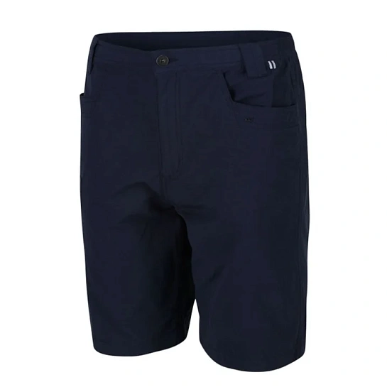 Regatta Шорты мужские Delgado Short