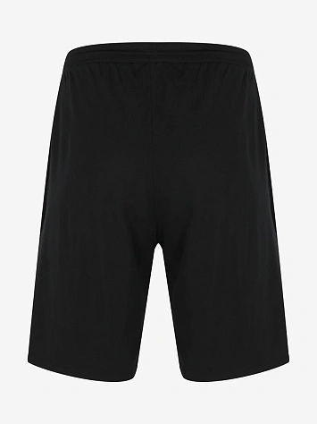 Nike Шорты мужские DF PARK 3