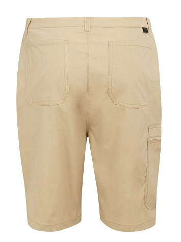Regatta Шорты мужские DALRY SHORT