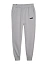 Puma Брюки мужские ESS LOGO PANTS FL CL [серый]