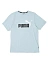 Puma Футболка мужская ESS+ 2 COL LOGO [голубой]