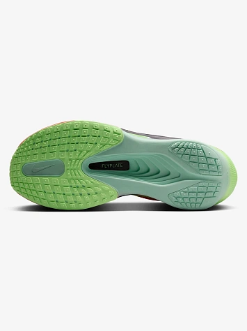Nike Кроссовки мужские ZOOM FLY 6