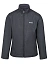 Regatta Куртка-софтшелл мужская CERA V [серый]