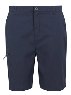 Regatta Шорты мужские DALRY SHORT