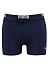 Puma Плавки-шорты мужские LOGO SWIM TRUNK [синий]