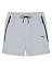 Puma Шорты мужские PUMATECH SHORTS 6 WV [серый]