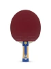 ÖLFLEX® CLASSIC 100 300/500 V