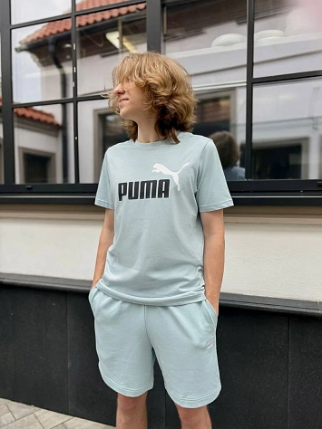 Puma Футболка мужская ESS+ 2 COL LOGO