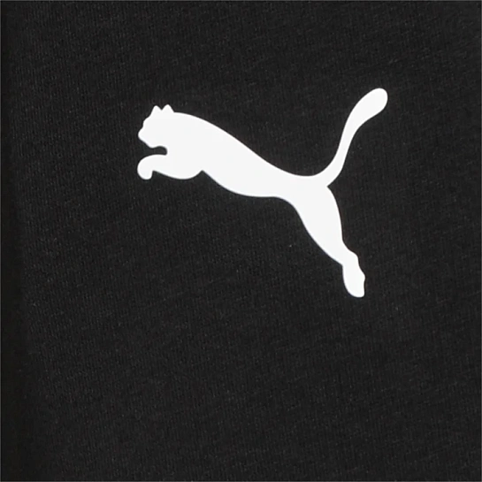 Puma Брюки мужские ESS LOGO TR OP