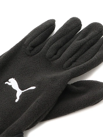Puma Перчатки TEAMLIGA 21 WINTER GLOVES