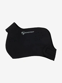 Ziener