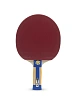 ÖLFLEX® CLASSIC 100 300/500 V