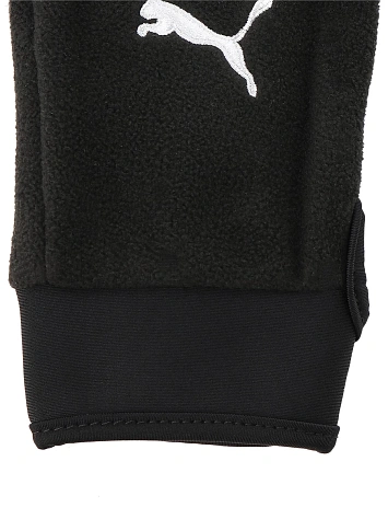 Puma Перчатки TEAMLIGA 21 WINTER GLOVES