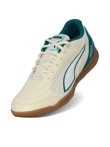 Puma Бутсы для зала мужские TRUCO IV