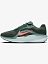 Nike Кроссовки мужские WINFLO 11 [зелёный]