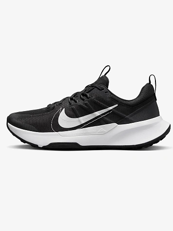 Nike Кроссовки мужские JUNIPER TRAIL 2