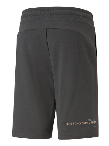 Puma Шорты мужские ESS BETTER SHORTS 10 TR