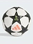 Adidas Мяч футбольный UCL PRO 24/25 [белый]