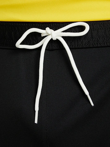 Nike Шорты мужские DF PARK 3