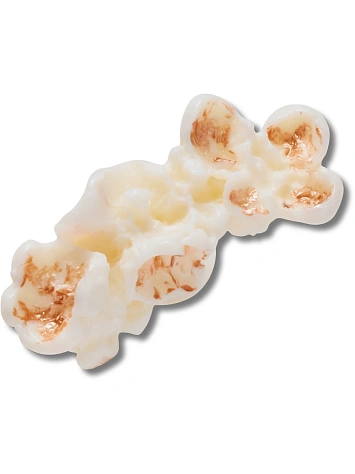 Crocs Джиббитс REALISTIC POPCORN 1