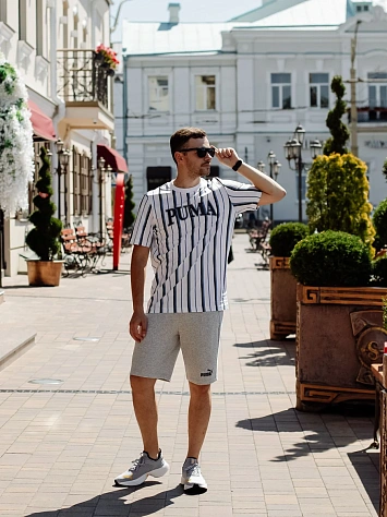 Puma Шорты мужские ESS 10