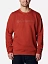 Columbia Джемпер мужской COLUMBIA™ LOGO FLEECE [красный]