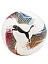 Puma Мяч футзальный FUTSAL 1 TB (FIFA QUALITY PRO) [белый]