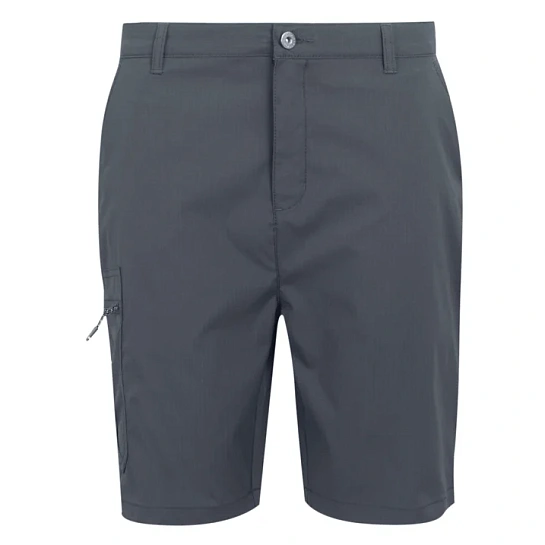 Regatta Шорты мужские DALRY SHORT