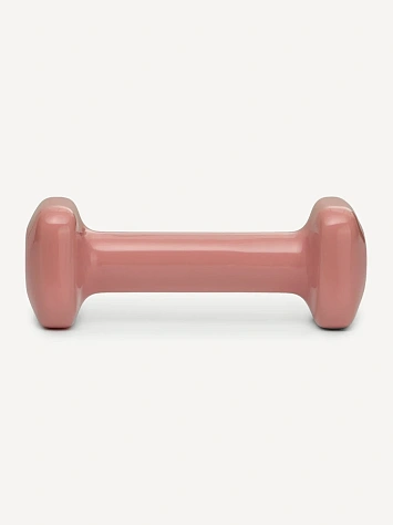 STARFIT Гантель виниловая, 1 кг