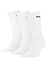 Puma Носки SPORT CREW LIGHTWEIGHT (3 пары) [белый]