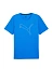 Puma Футболка мужская PERFORMANCE CAT TEE M [зелёный]