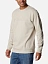 Columbia Джемпер мужской COLUMBIA™ LOGO FLEECE [бежевый]