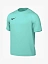 Nike Футболка мужская DF PARK VIII JSY SS [зелёный]